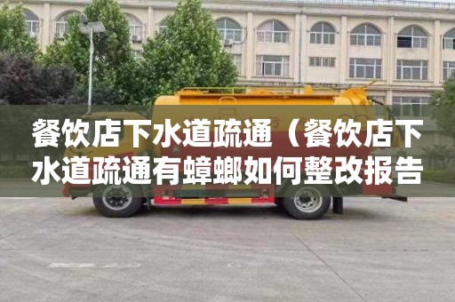 餐饮店下水道疏通（餐饮店下水道疏通有蟑螂如何整改报告）