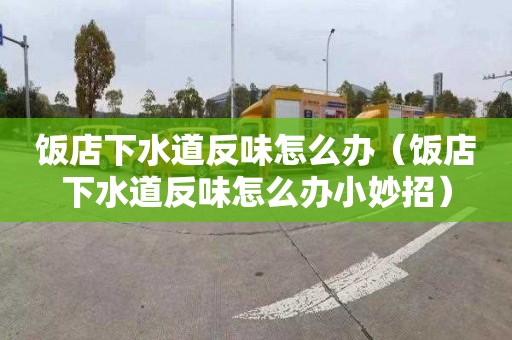 饭店下水道反味怎么办（饭店下水道反味怎么办小妙招）