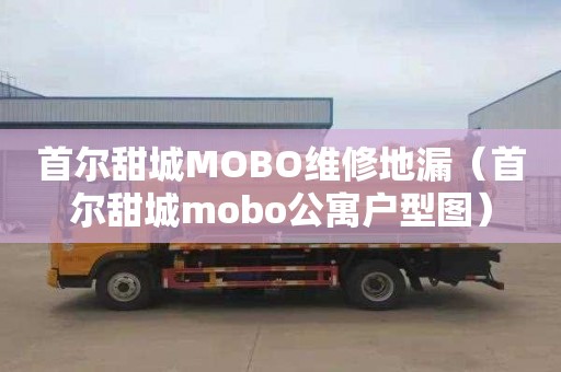首尔甜城MOBO维修地漏（首尔甜城mobo公寓户型图）