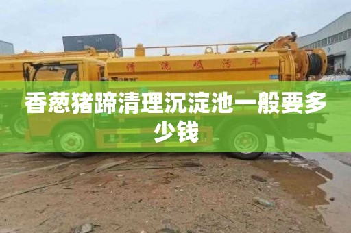 香葱猪蹄清理沉淀池一般要多少钱