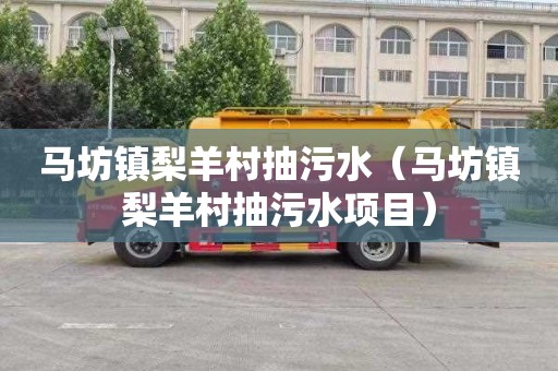 马坊镇梨羊村抽污水（马坊镇梨羊村抽污水项目）