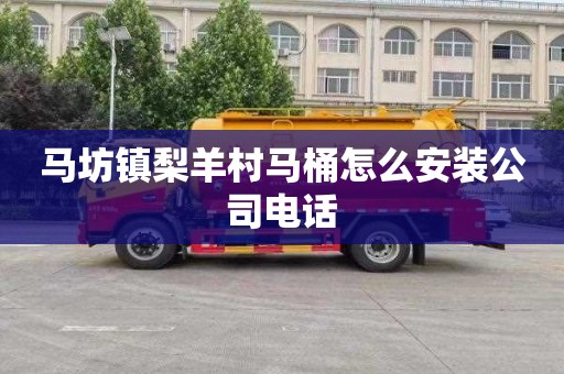 马坊镇梨羊村马桶怎么安装公司电话