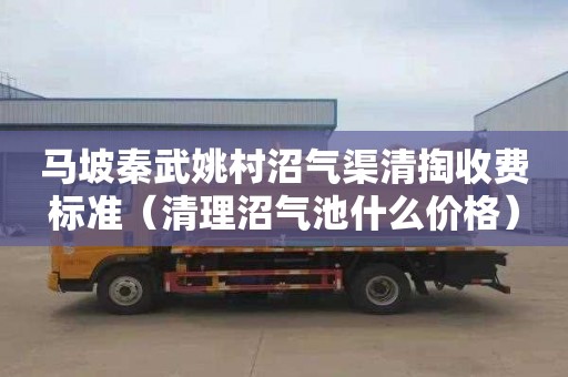 马坡秦武姚村沼气渠清掏收费标准（清理沼气池什么价格）