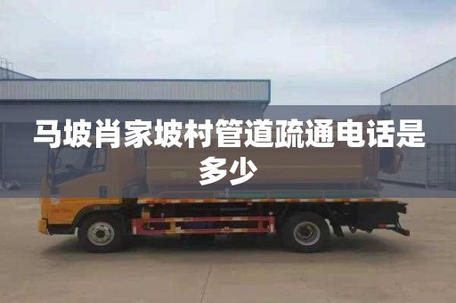 马坡肖家坡村管道疏通电话是多少