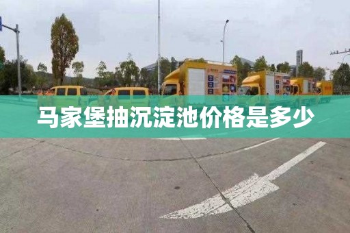 马家堡抽沉淀池价格是多少