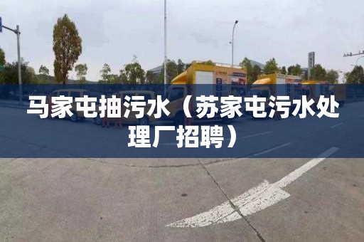 马家屯抽污水（苏家屯污水处理厂招聘）