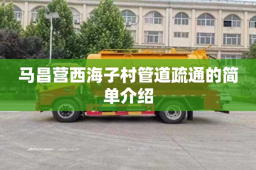 马昌营西海子村管道疏通的简单介绍