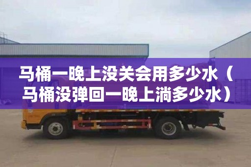 马桶一晚上没关会用多少水（马桶没弹回一晚上淌多少水）
