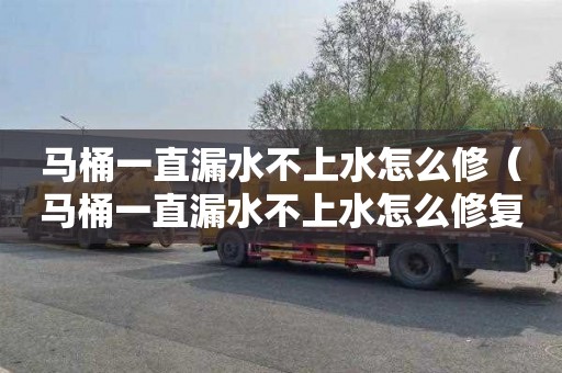 马桶一直漏水不上水怎么修（马桶一直漏水不上水怎么修复）