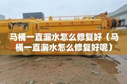 马桶一直漏水怎么修复好（马桶一直漏水怎么修复好呢）