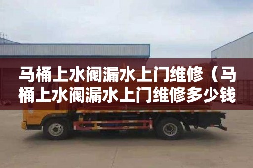 马桶上水阀漏水上门维修（马桶上水阀漏水上门维修多少钱）