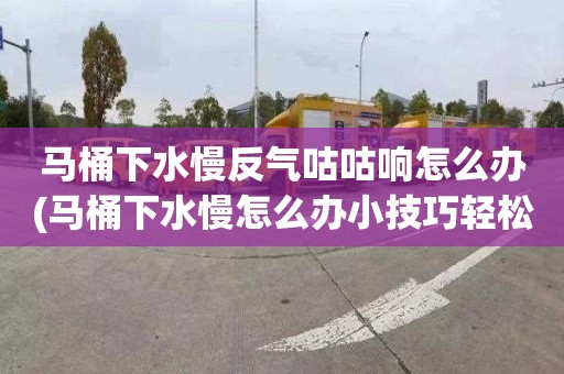 马桶下水慢反气咕咕响怎么办(马桶下水慢怎么办小技巧轻松解决下水慢)