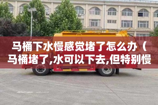 马桶下水慢感觉堵了怎么办（马桶堵了,水可以下去,但特别慢）
