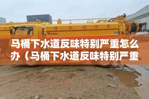 马桶下水道反味特别严重怎么办（马桶下水道反味特别严重怎么办啊）