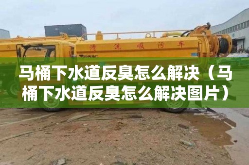 马桶下水道反臭怎么解决（马桶下水道反臭怎么解决图片）