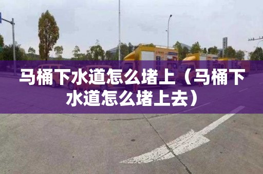马桶下水道怎么堵上（马桶下水道怎么堵上去）