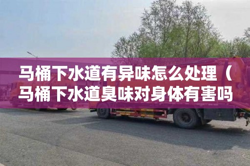 马桶下水道有异味怎么处理（马桶下水道臭味对身体有害吗）