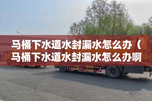 马桶下水道水封漏水怎么办（马桶下水道水封漏水怎么办啊）