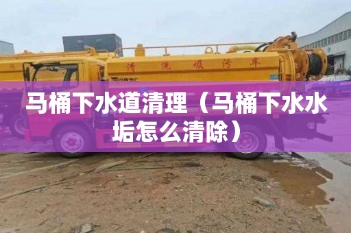 马桶下水道清理（马桶下水水垢怎么清除）