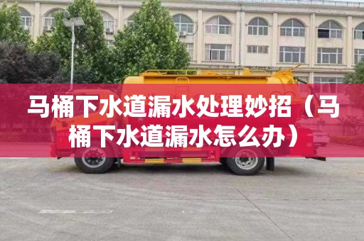 马桶下水道漏水处理妙招（马桶下水道漏水怎么办）