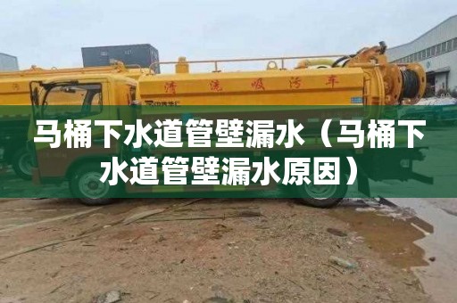 马桶下水道管壁漏水（马桶下水道管壁漏水原因）