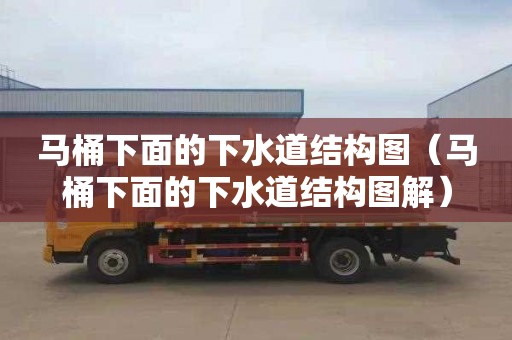 马桶下面的下水道结构图（马桶下面的下水道结构图解）