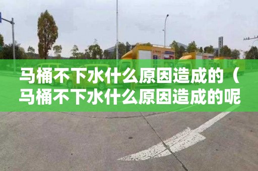 马桶不下水什么原因造成的（马桶不下水什么原因造成的呢）
