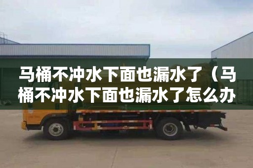 马桶不冲水下面也漏水了（马桶不冲水下面也漏水了怎么办）