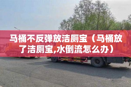 马桶不反弹放洁厕宝（马桶放了洁厕宝,水倒流怎么办）