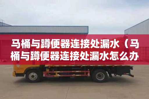 马桶与蹲便器连接处漏水（马桶与蹲便器连接处漏水怎么办）