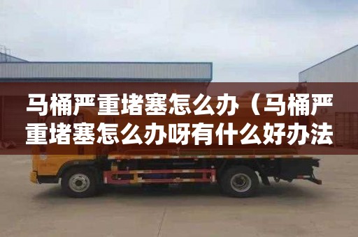 马桶严重堵塞怎么办（马桶严重堵塞怎么办呀有什么好办法吗）