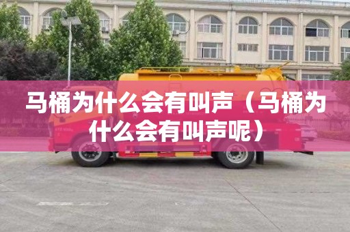 马桶为什么会有叫声（马桶为什么会有叫声呢）
