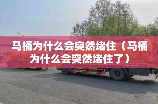 马桶为什么会突然堵住（马桶为什么会突然堵住了）