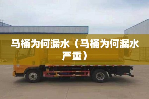 马桶为何漏水（马桶为何漏水严重）