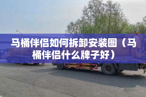 马桶伴侣如何拆卸安装图（马桶伴侣什么牌子好）