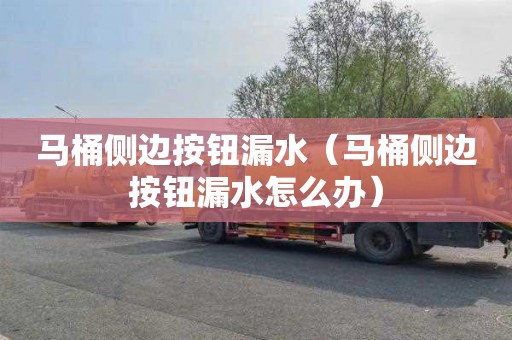 马桶侧边按钮漏水（马桶侧边按钮漏水怎么办）