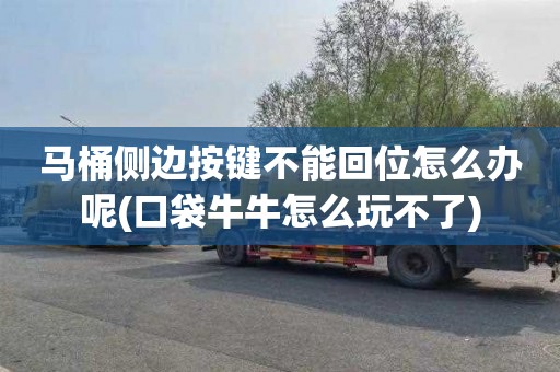 马桶侧边按键不能回位怎么办呢(口袋牛牛怎么玩不了)