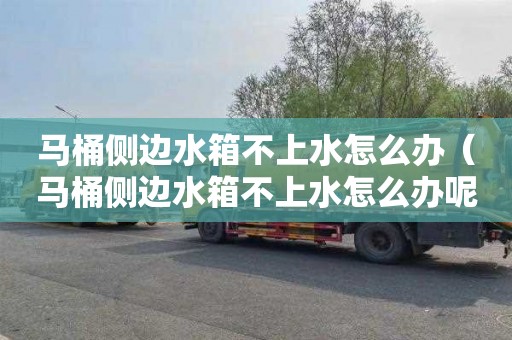 马桶侧边水箱不上水怎么办（马桶侧边水箱不上水怎么办呢）