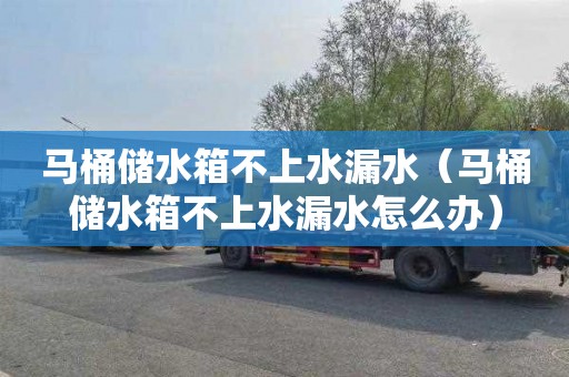 马桶储水箱不上水漏水（马桶储水箱不上水漏水怎么办）