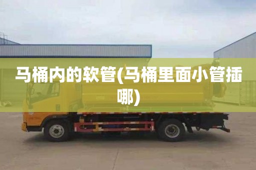 马桶内的软管(马桶里面小管插哪)