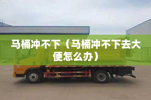 马桶冲不下（马桶冲不下去大便怎么办）