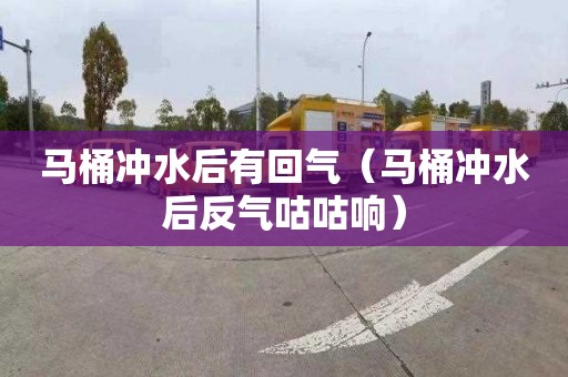 马桶冲水后有回气（马桶冲水后反气咕咕响）