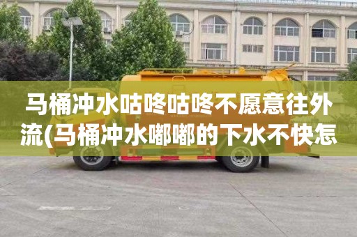 马桶冲水咕咚咕咚不愿意往外流(马桶冲水嘟嘟的下水不快怎么解决)