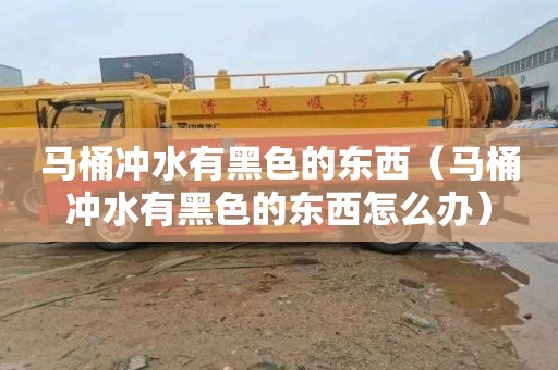 马桶冲水有黑色的东西（马桶冲水有黑色的东西怎么办）