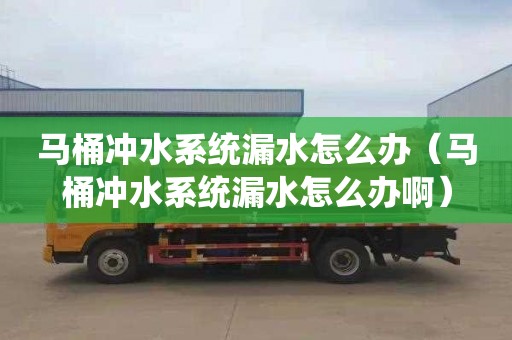 马桶冲水系统漏水怎么办（马桶冲水系统漏水怎么办啊）