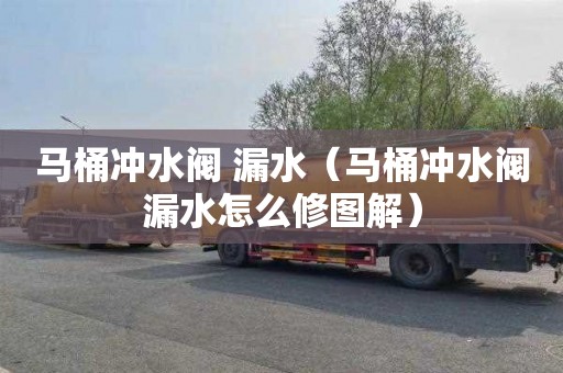 马桶冲水阀 漏水（马桶冲水阀漏水怎么修图解）