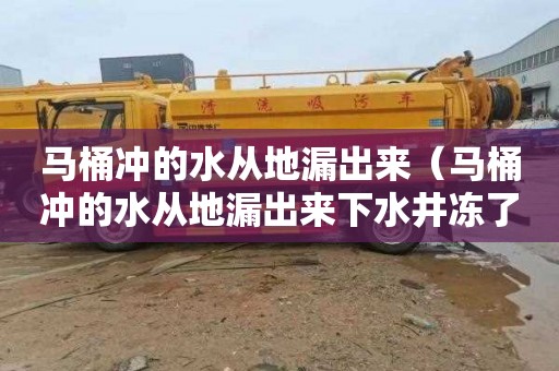 马桶冲的水从地漏出来（马桶冲的水从地漏出来下水井冻了）