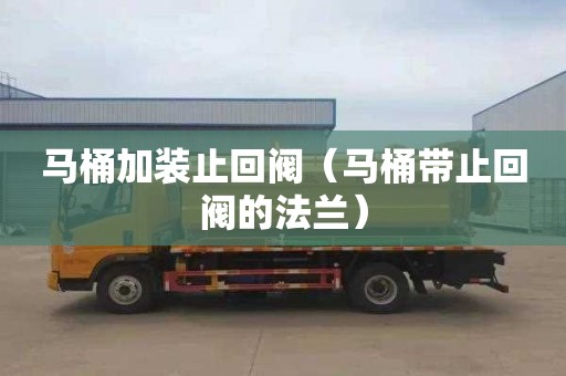 马桶加装止回阀（马桶带止回阀的法兰）