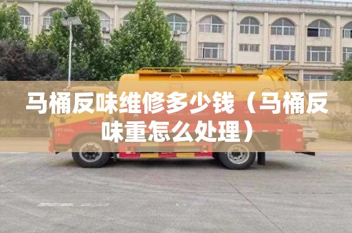 马桶反味维修多少钱（马桶反味重怎么处理）
