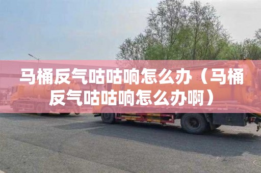 马桶反气咕咕响怎么办（马桶反气咕咕响怎么办啊）